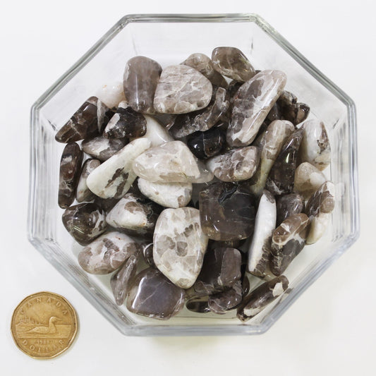 Quartz Smokey Large Brazil - Tumbled