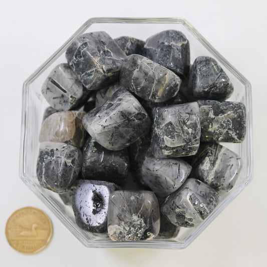 Tourmaline Black & Quartz Large Extra - Tumbled