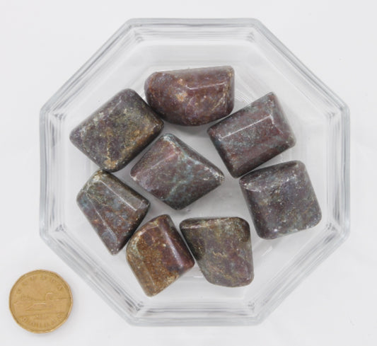 Ruby Kyanite Jumbo - Tumbled