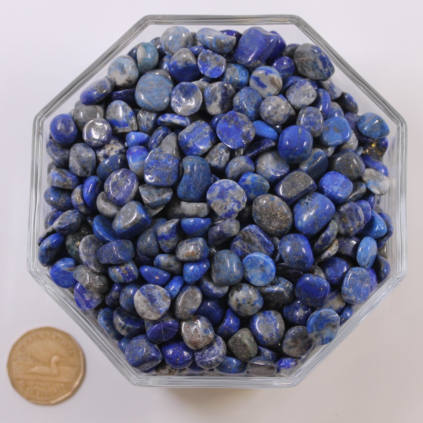 Lapes Roke Lapis Lazuli Small - Tumbled – Terra Rock Shop