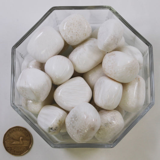 Scolecite Cubed Large - Tumbled