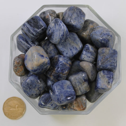 Sodalite Large - Tumbled