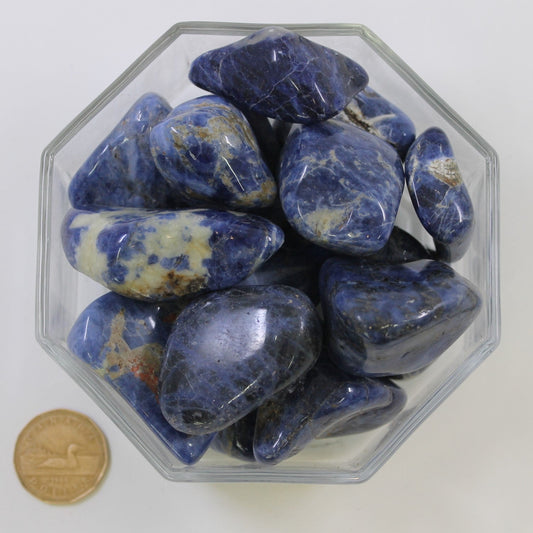 Sodalite Jumbo Extra - Tumbled