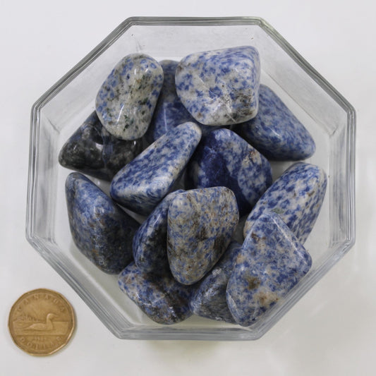 Sodalite Spotted Large - Tumbled