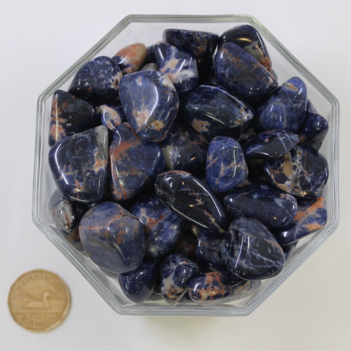 Sodalite Sunset Large Extra - Tumbled