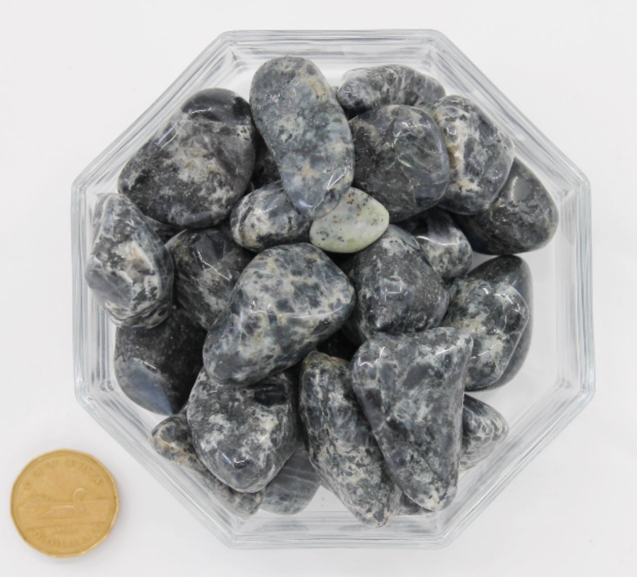 Spectrolite Tumbled Spectrolite Large - Tumbled – Terra Rock Shop