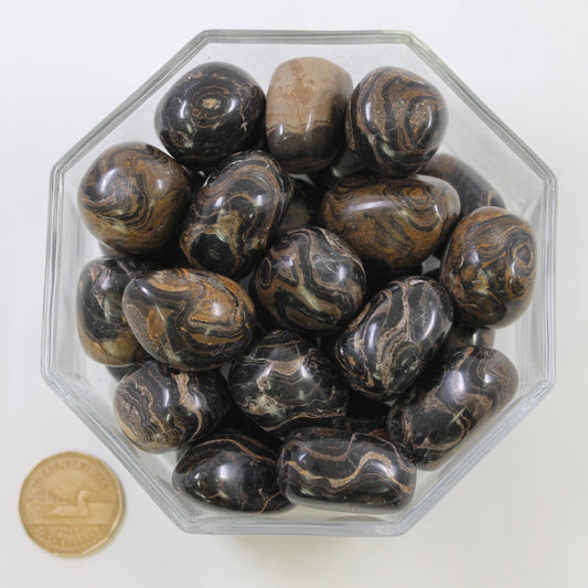 Stromatolite Large Rounded - Tumbled