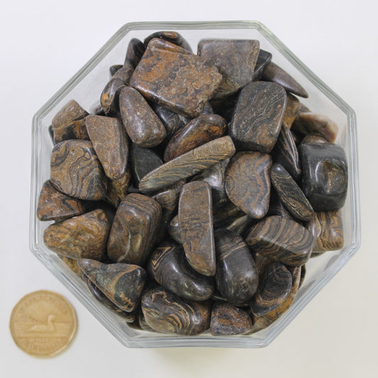 Stromatolite Large - Tumbled