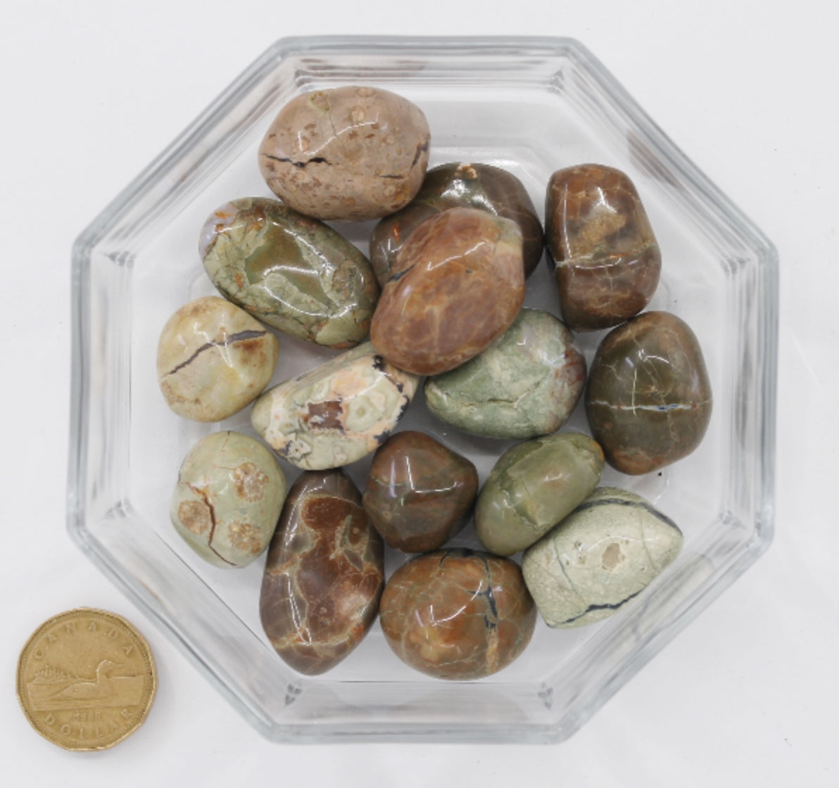 Thunder Egg Star Agate Amulet Stone Large - Tumbled