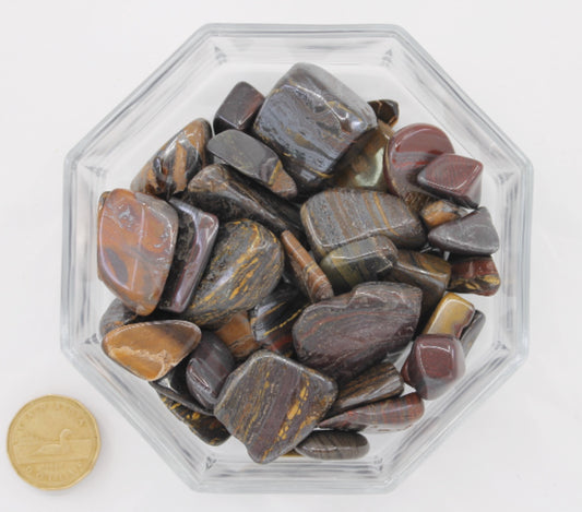 Tiger Iron Large - Tumbled