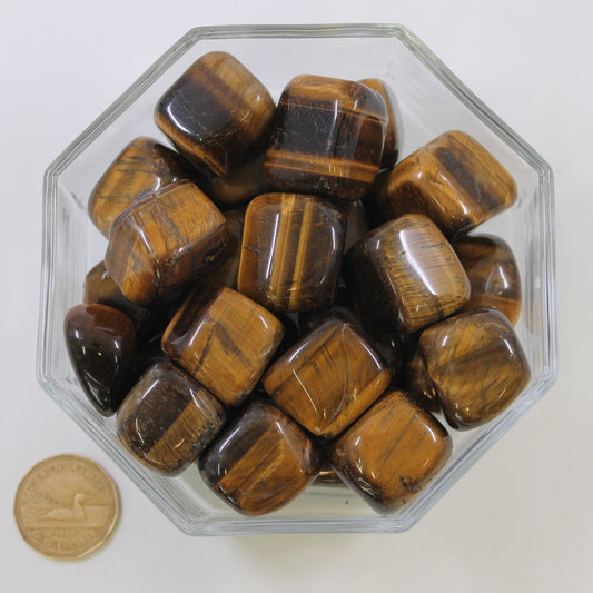 Tiger Eye Gold Large Extra - Tumbled