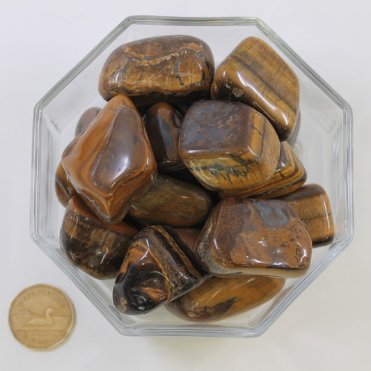 Tiger Eye Gold Jumbo - Tumbled