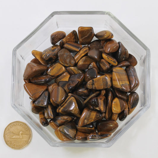 Tiger Eye Gold Medium - Tumbled