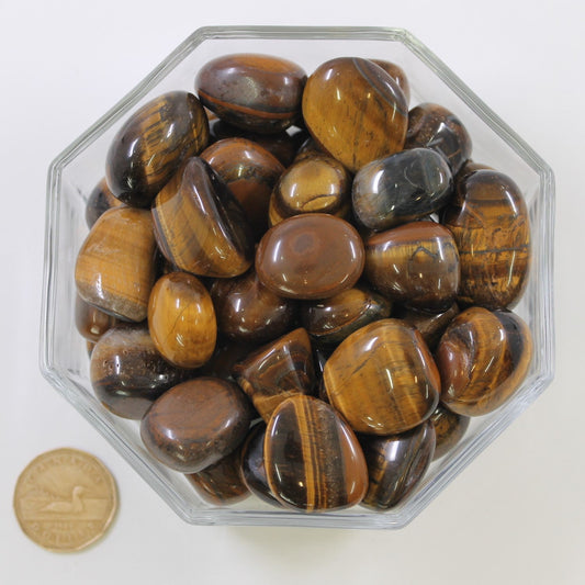 Tiger Eye Gold Large Rounded - Tumbled