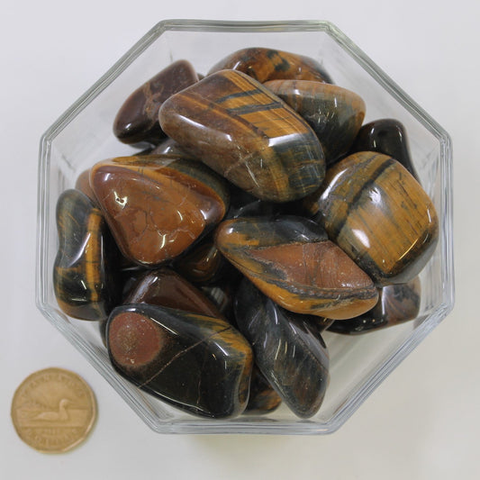 Tiger Eye Hawkeyed Jumbo - Tumbled