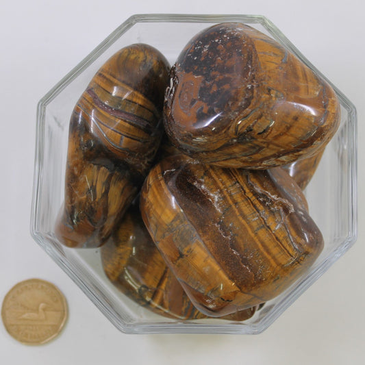 Tiger Iron Gold Jumbo - Tumbled