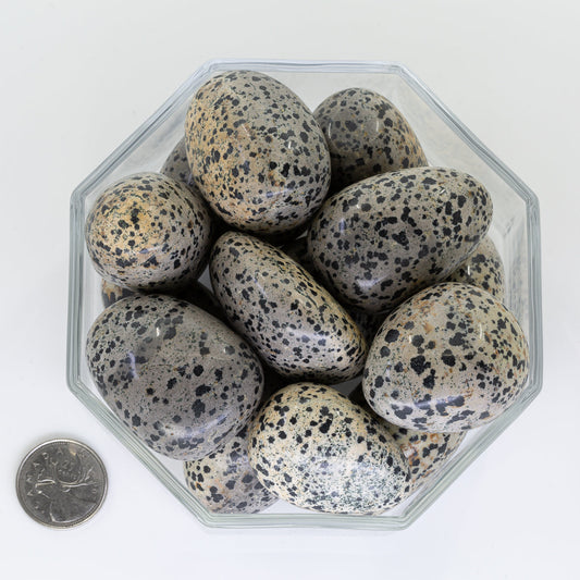 Jasper Dalmatien Jumbo - Tumbled