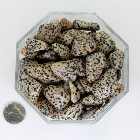 Jasper Dalmatien Large - Tumbled
