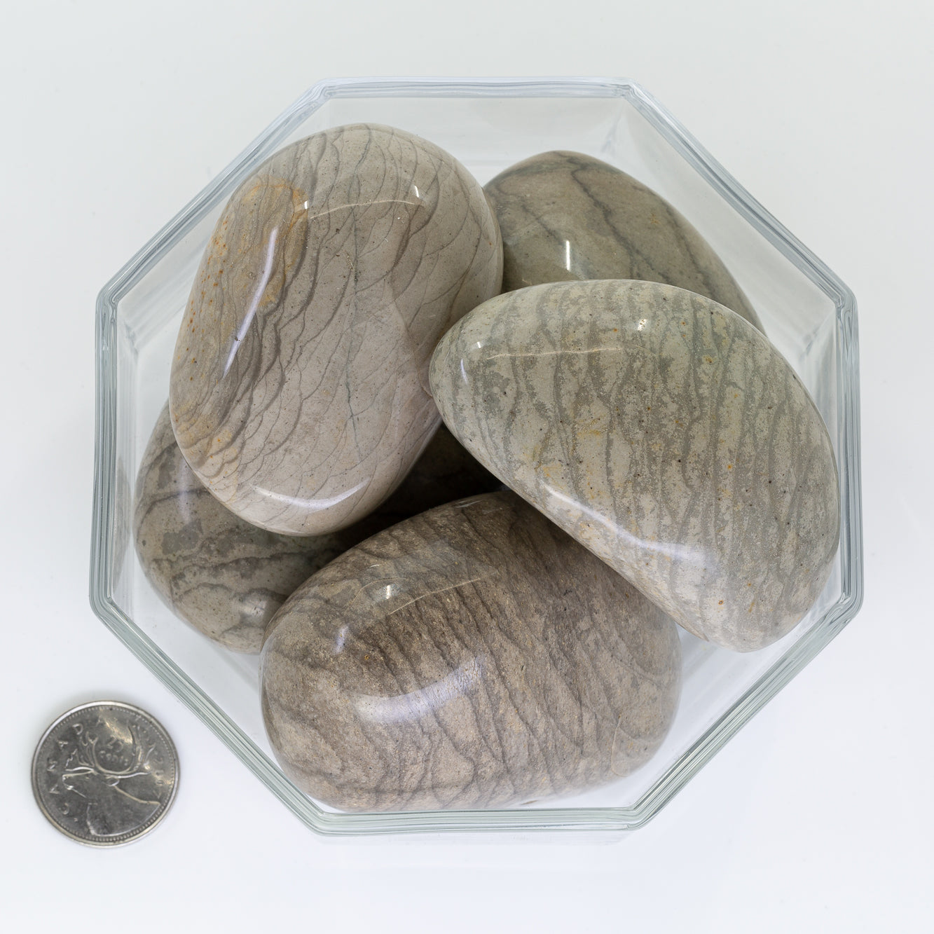 Jasper Dragon Scale Jumbo - Tumbled
