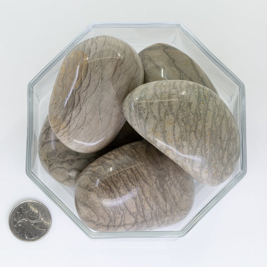 Jasper Dragon Scale Jumbo - Tumbled