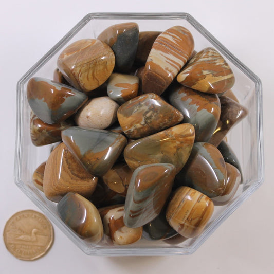Jasper Owyhee Large - Tumbled