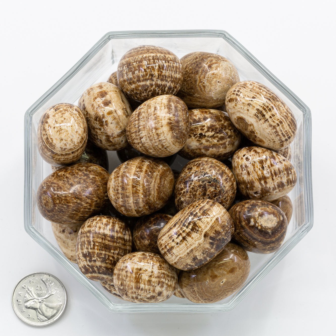 Aragonite Large - Tumbled