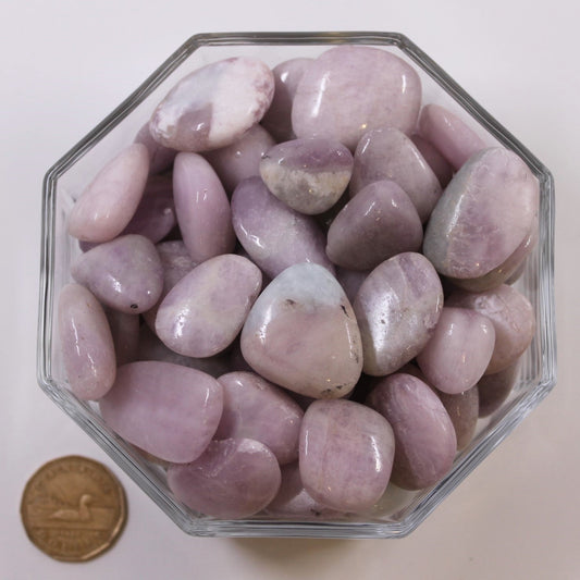 Kunzite Extra Large - Tumbled