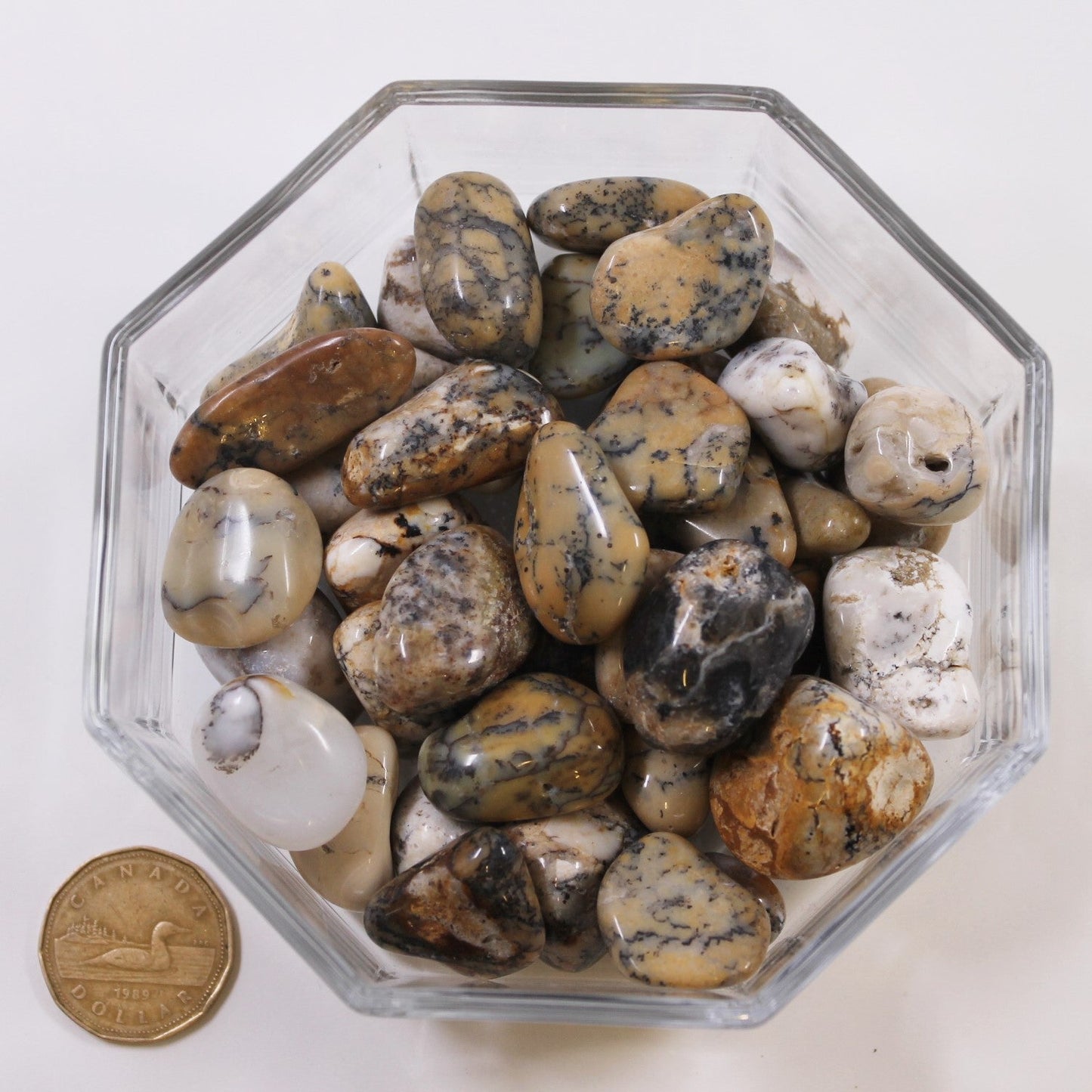 Merlinite Golden Large - Tumbled