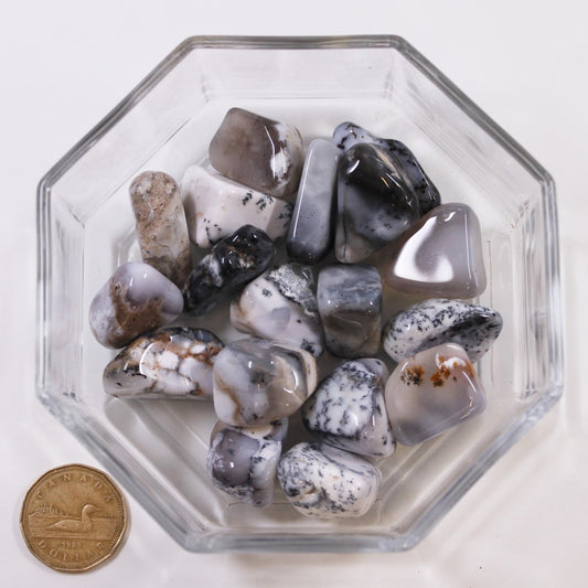 Merlinite Large - Tumbled