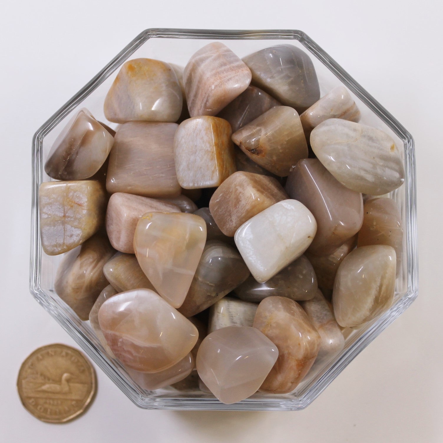 Moonstones In Rocks Moonstone Large - Tumbled β Terra Rock Shop