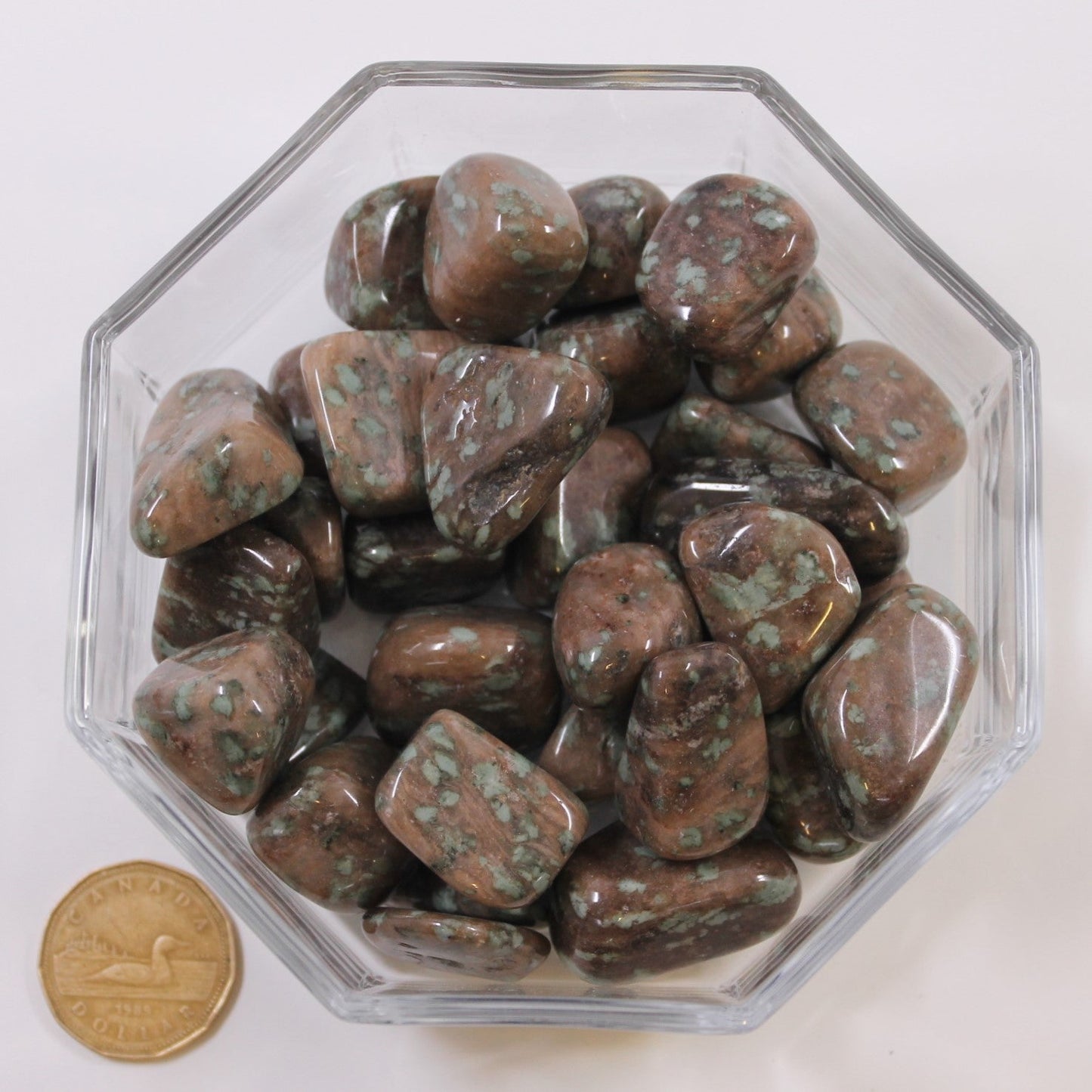 Nudoorite Large - Tumbled