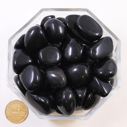 Obsidian Black Large - Tumble