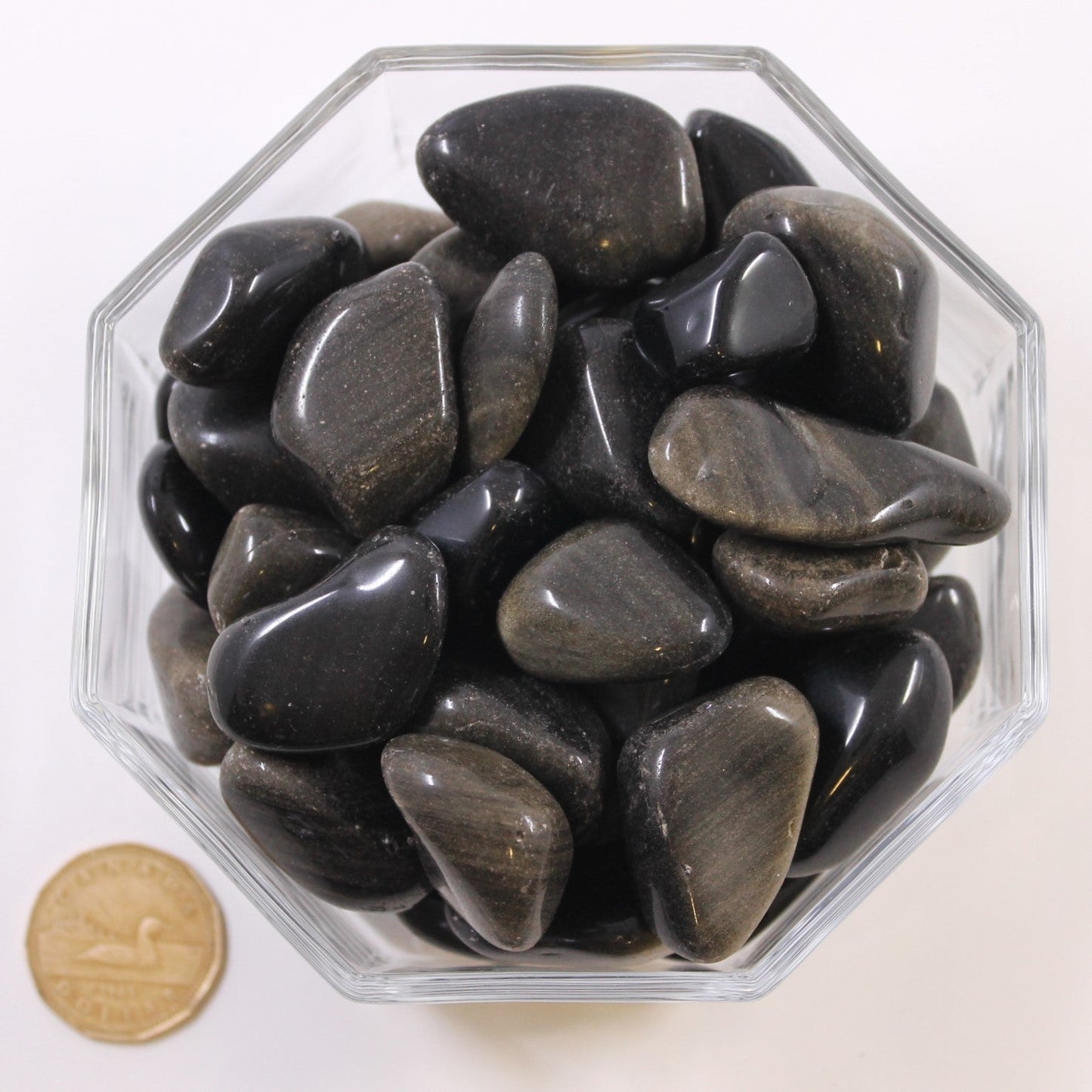Obsidian Gold Sheen Large - Tumbled