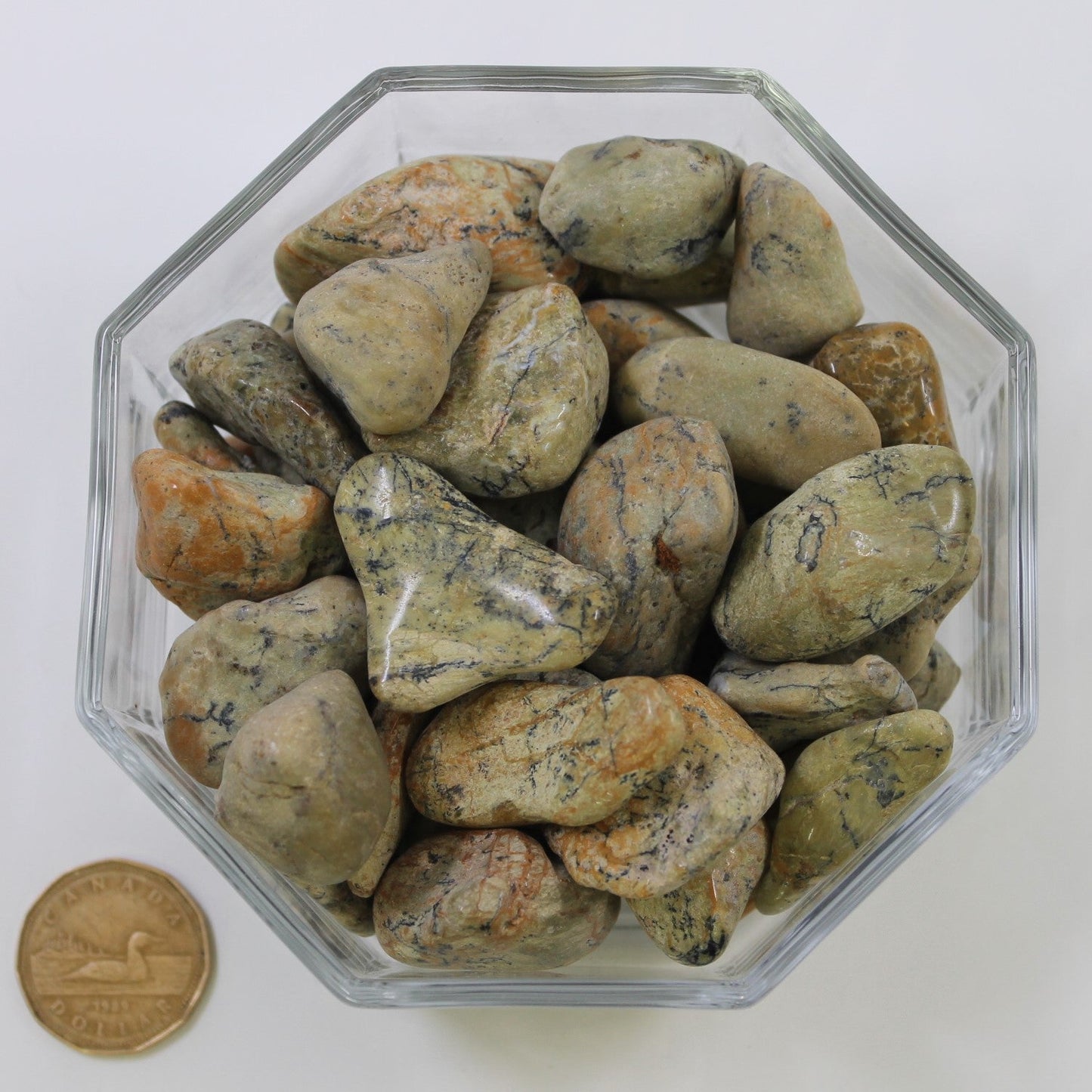 Opalite Lemon Dendrite Large - Tumbled