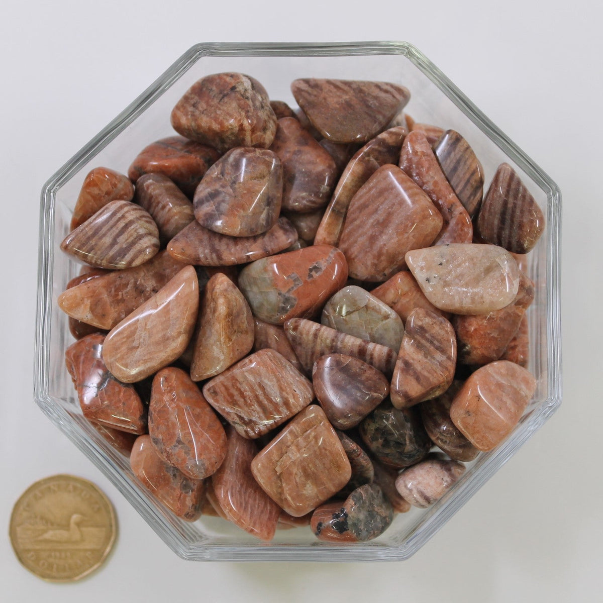 Perthitic Quartz Perthite Large - Tumbled – Terra Rock Shop
