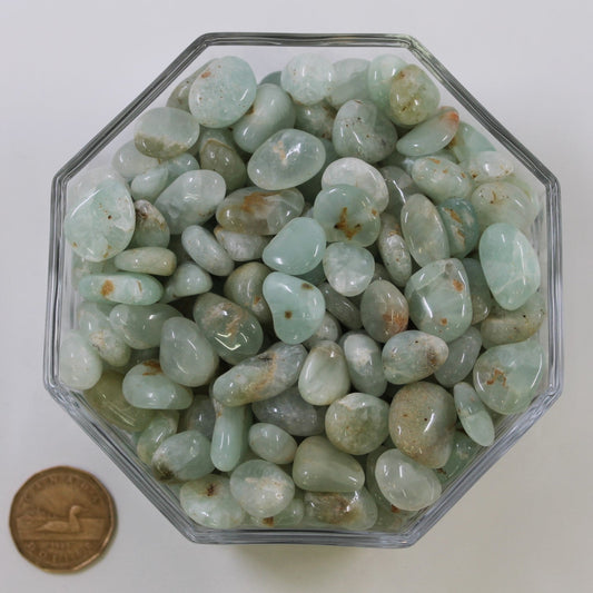 Prehnite Small - Tumbled